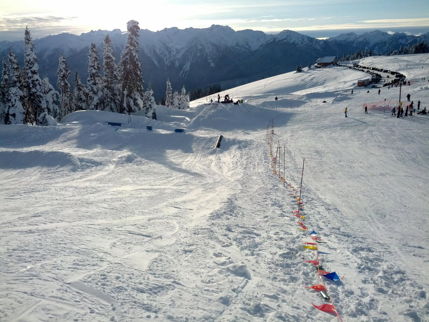 Hurricane Ridge in USA - a group of people skiing down a snowy hill.