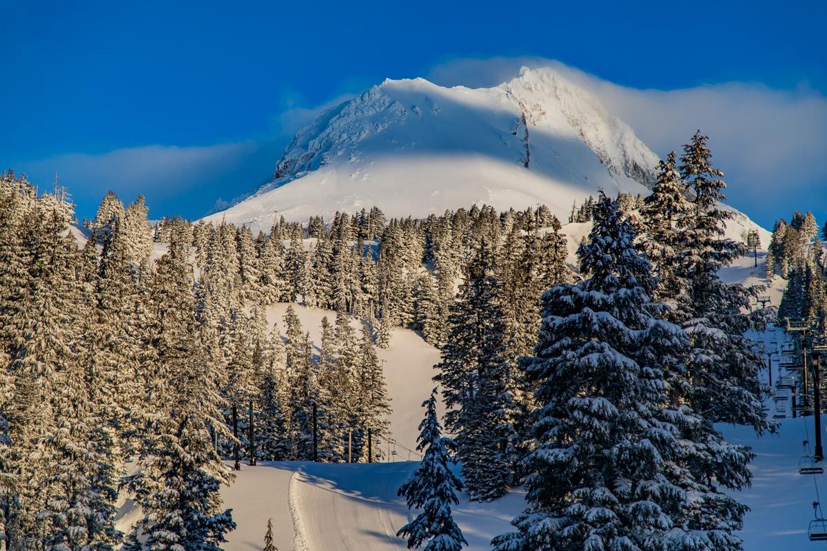Mt Hood Meadows in USA - snow covered trees and a mountain in the background.