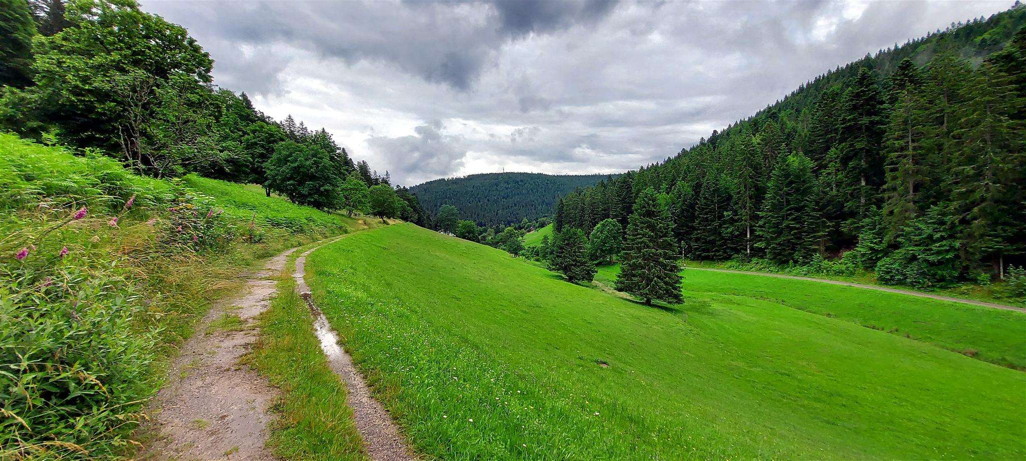 Enzklösterle in Germany - a dirt road in the middle of a green field.