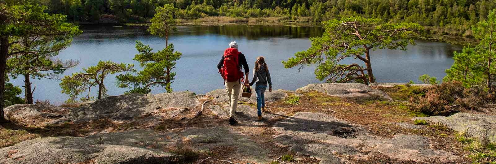 Stenkällegården in Sweden - a person standing on a rock overlooking a lake.