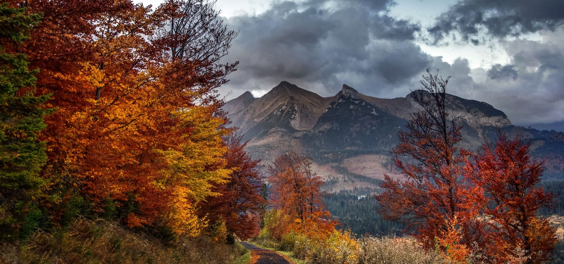 Ski TaJa – Tatranská Javorina in Slovakia - a road with trees and mountains in the background.