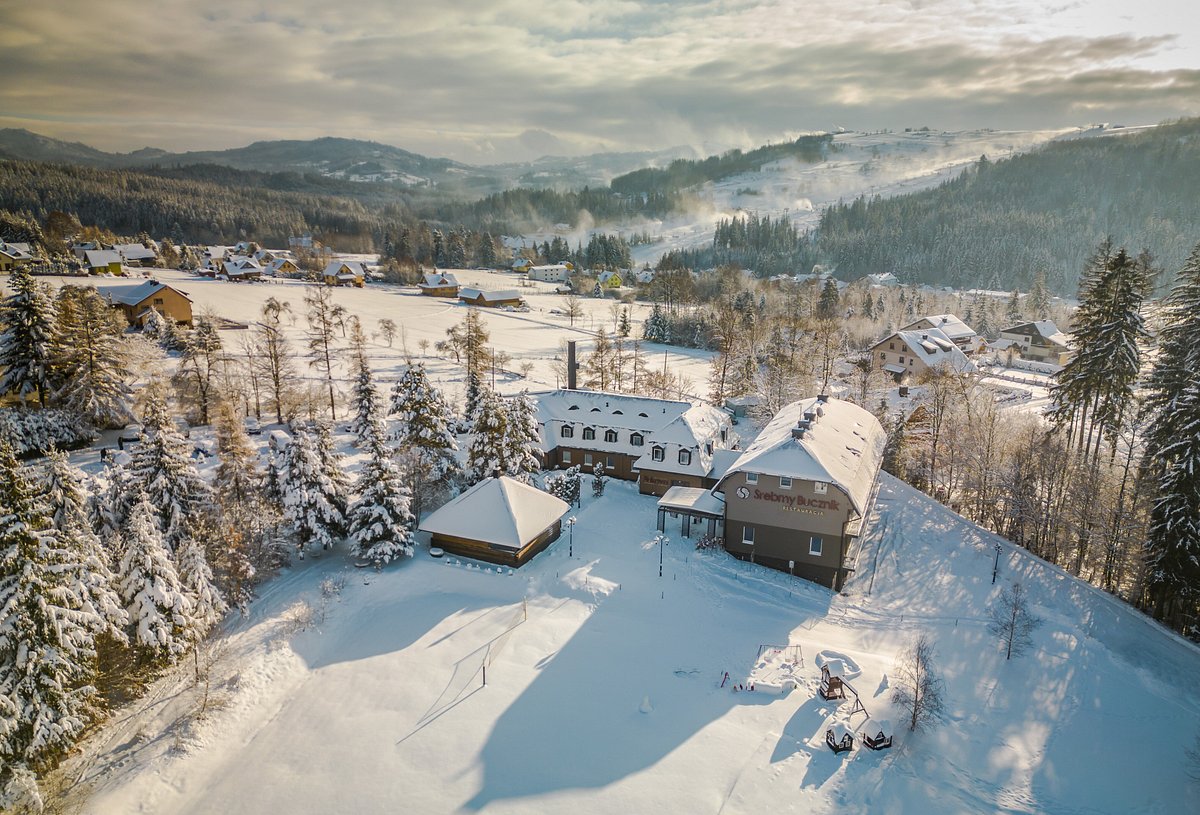 Muflon in Poland: an aerial view of a ski resort in the austrian alps.