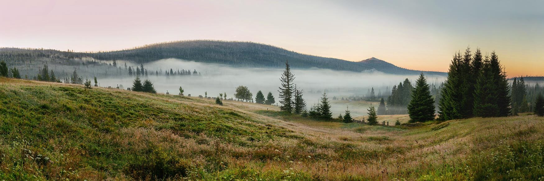 Kubova Huť in Czech Republic - a mountain with trees and grass in the fore.