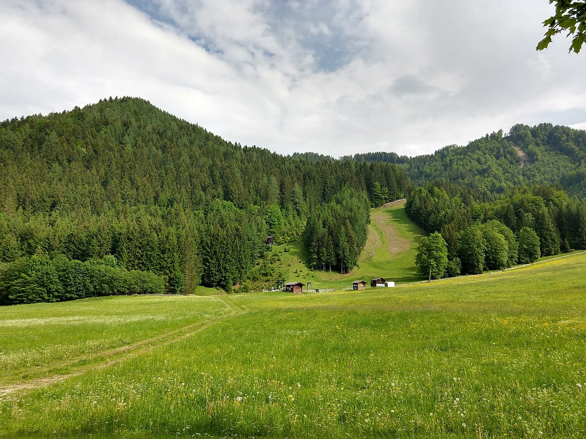 Bodental – Unterbergen in Austria - a green field with trees and mountains in the background.