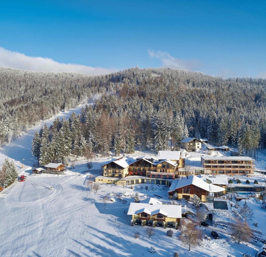 Riedlberg in Germany: a ski resort surrounded by snow covered trees.