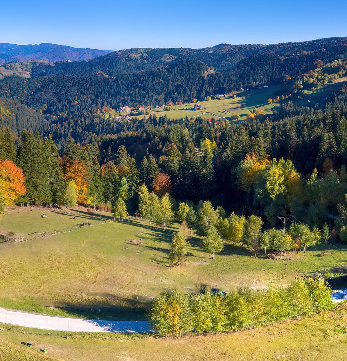 Kokuszka in Poland - the view from the top of the mountain in autumn.