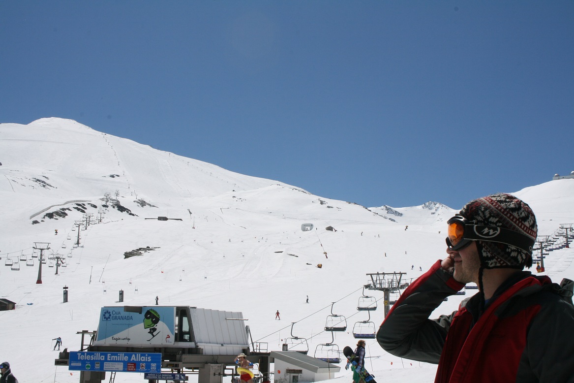 Zebra – Białka Tatrzańska in Poland - a clear blue sky.