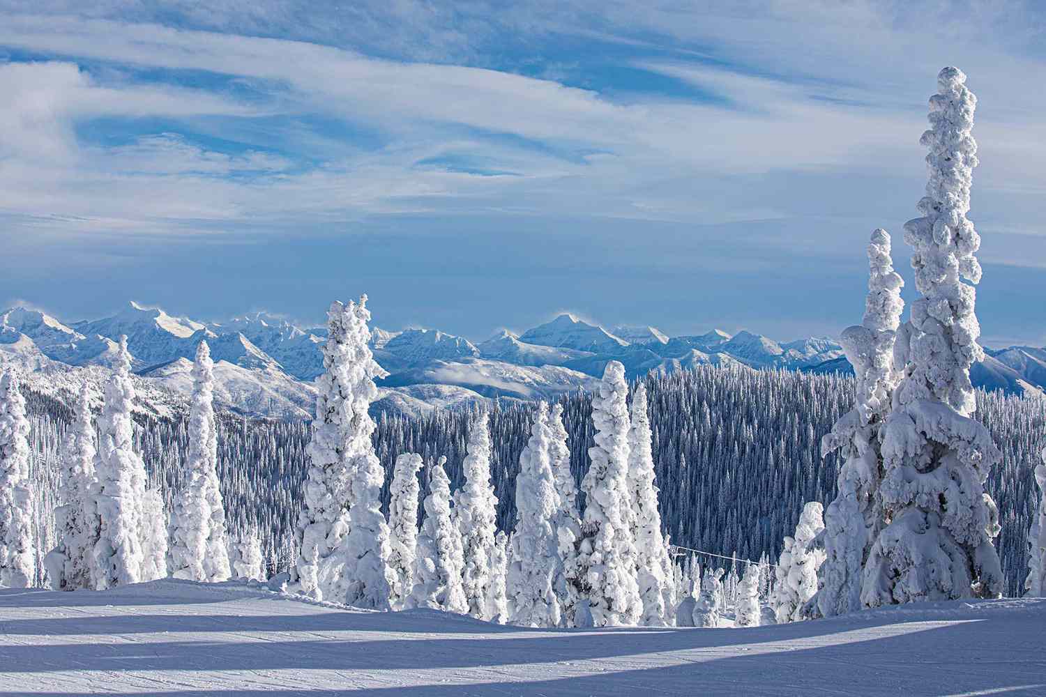 Whitefish Mountain Resort in USA - trees covered in snow.