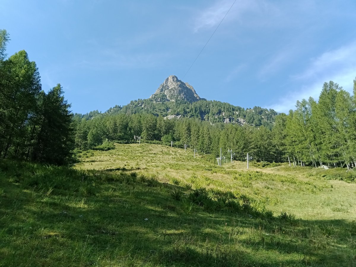 La Poya – Vallorcine in France - a grassy field with trees and a mountain in the background.