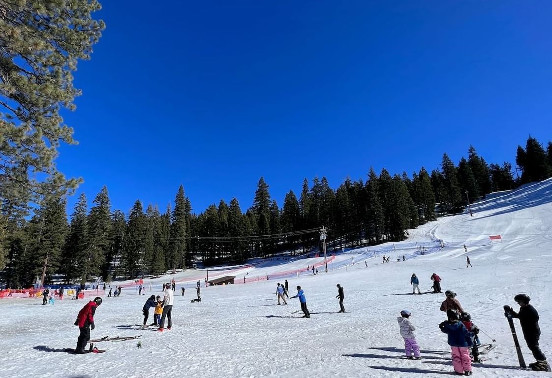 Granlibakken in USA - a group of people skiing down a snow covered slope.