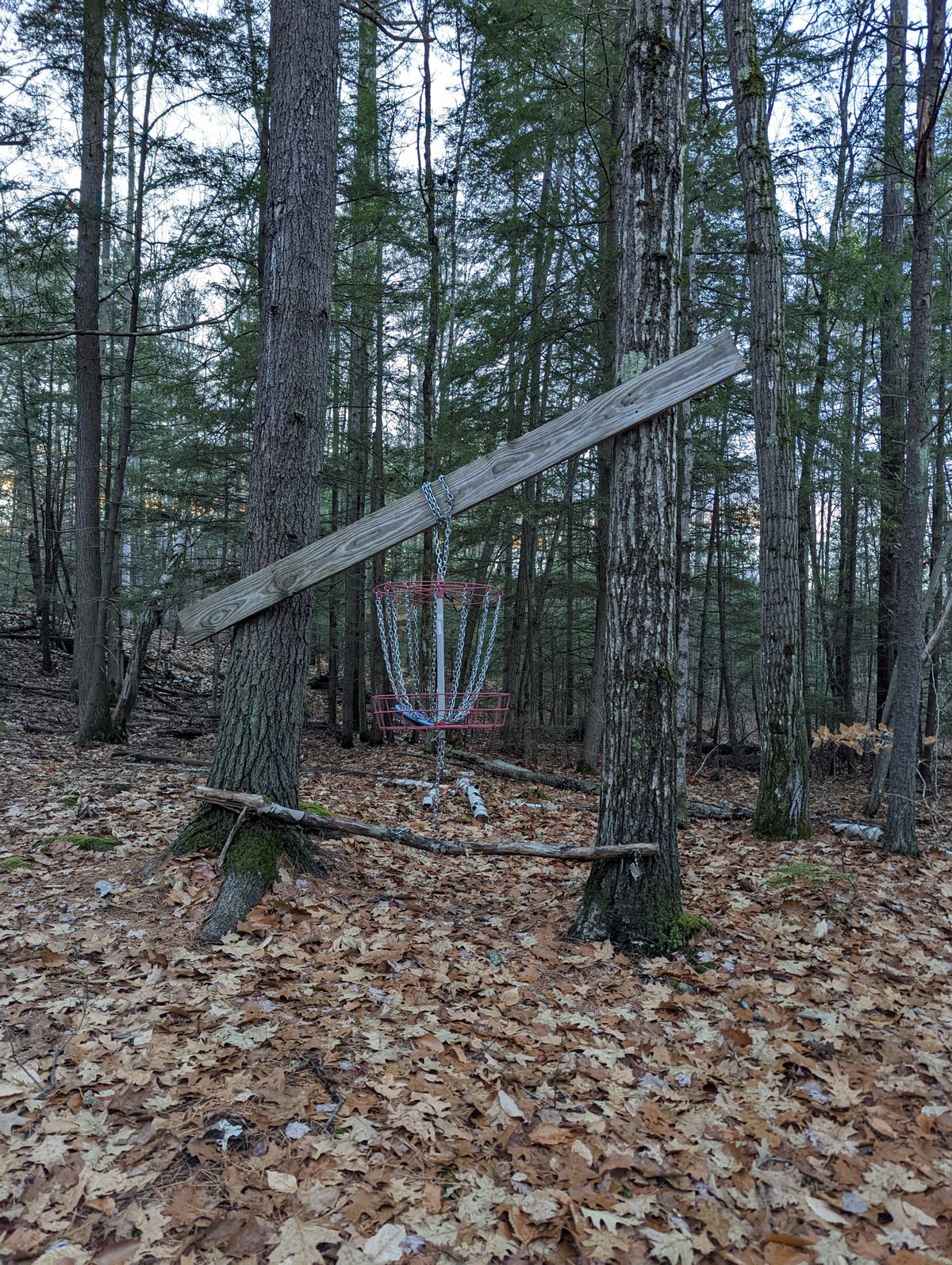 Veterans Memorial – Franklin in USA - a wooden structure in the middle of a forest.