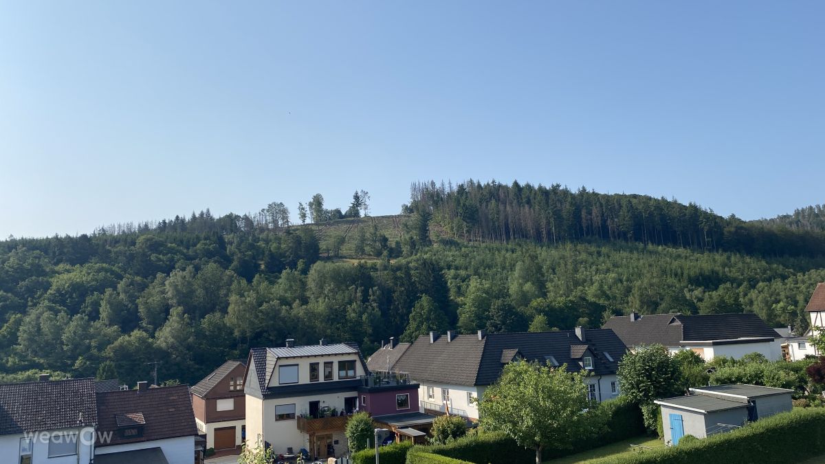 Kleingladenbach in Germany - a hill with houses and trees on it.