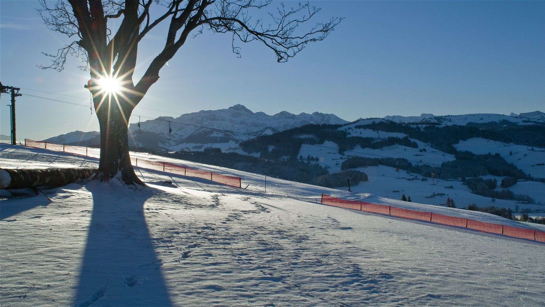 Schwellbrunn in Switzerland - a tree in the snow.