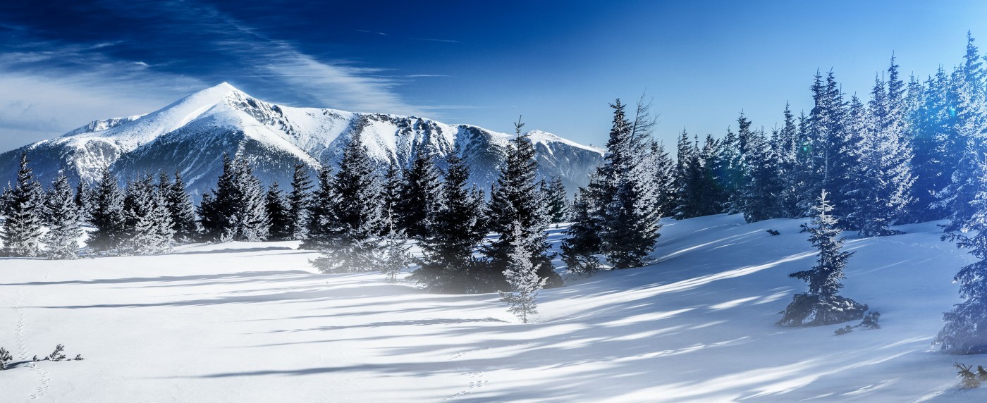 Arabichl – Kirchberg am Wechsel in Austria - a snowy landscape with trees and mountains in the background.