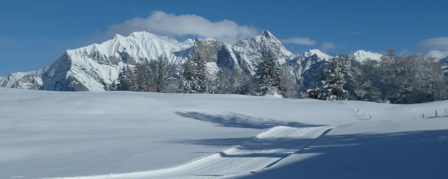 Tristeli – St Margrethenberg in Switzerland - the snow is white.