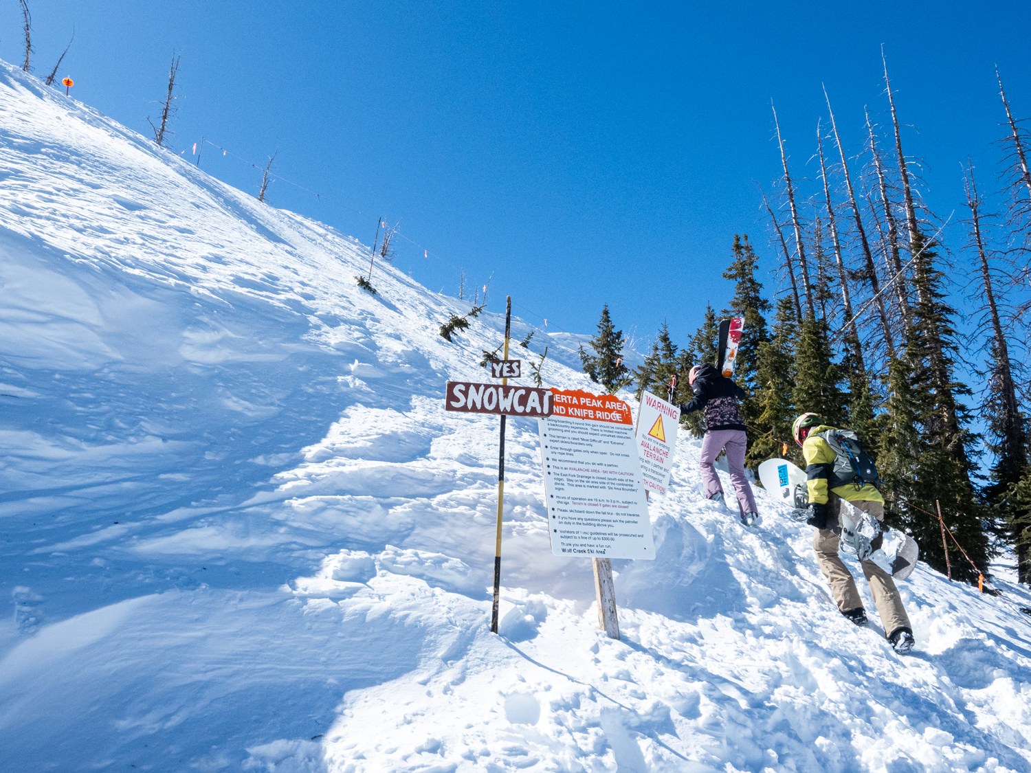 Wolf Creek in USA - a person is skiing down a snowy hill.