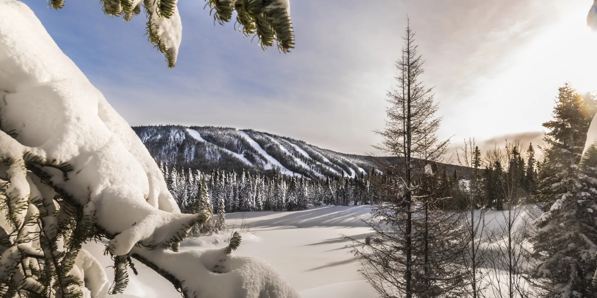 Le Mont Grand-Fonds in Canada - the sun shines through the snow covered trees in the mountains.