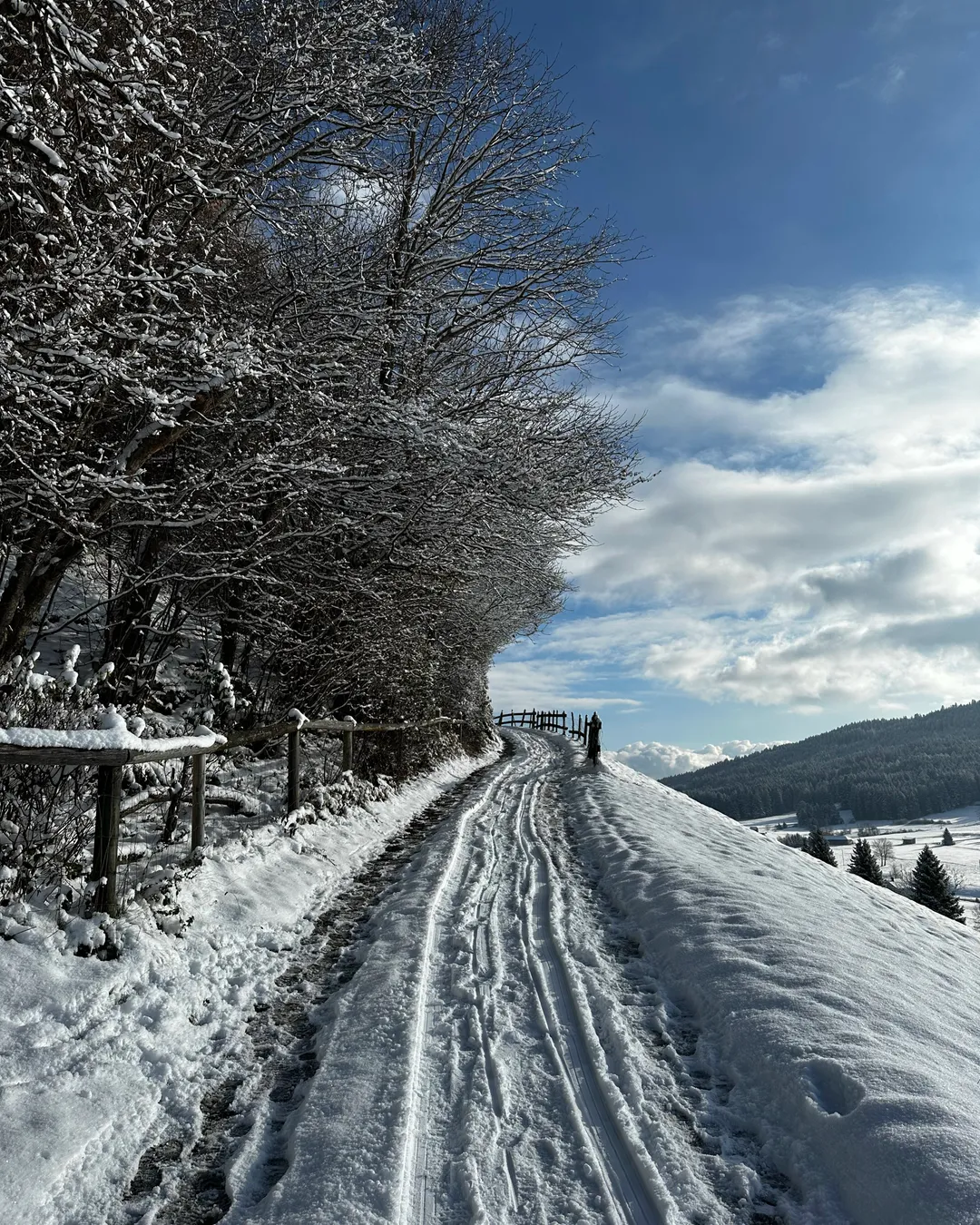 Gais in Switzerland - a snow covered road with trees and mountains in the background.