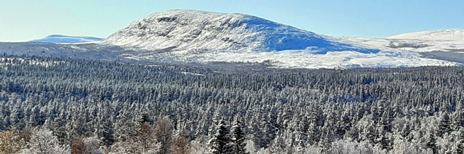 Skjerdingen in Norway - snow on the ground.