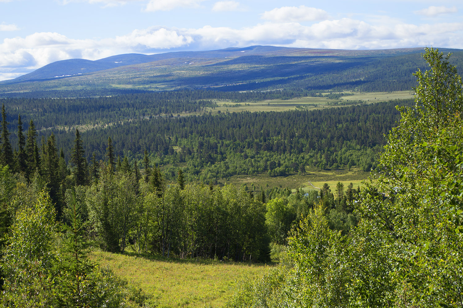 Skjerdingen in Norway - the view from the top of a mountain.