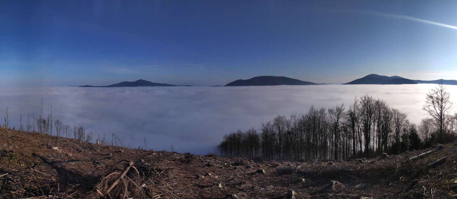 Opálená in Czech Republic - the view from the top of the mountain above the clouds.