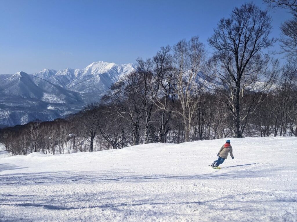 Myoko Suginohara in Japan - a person on a snowboard in the snow.