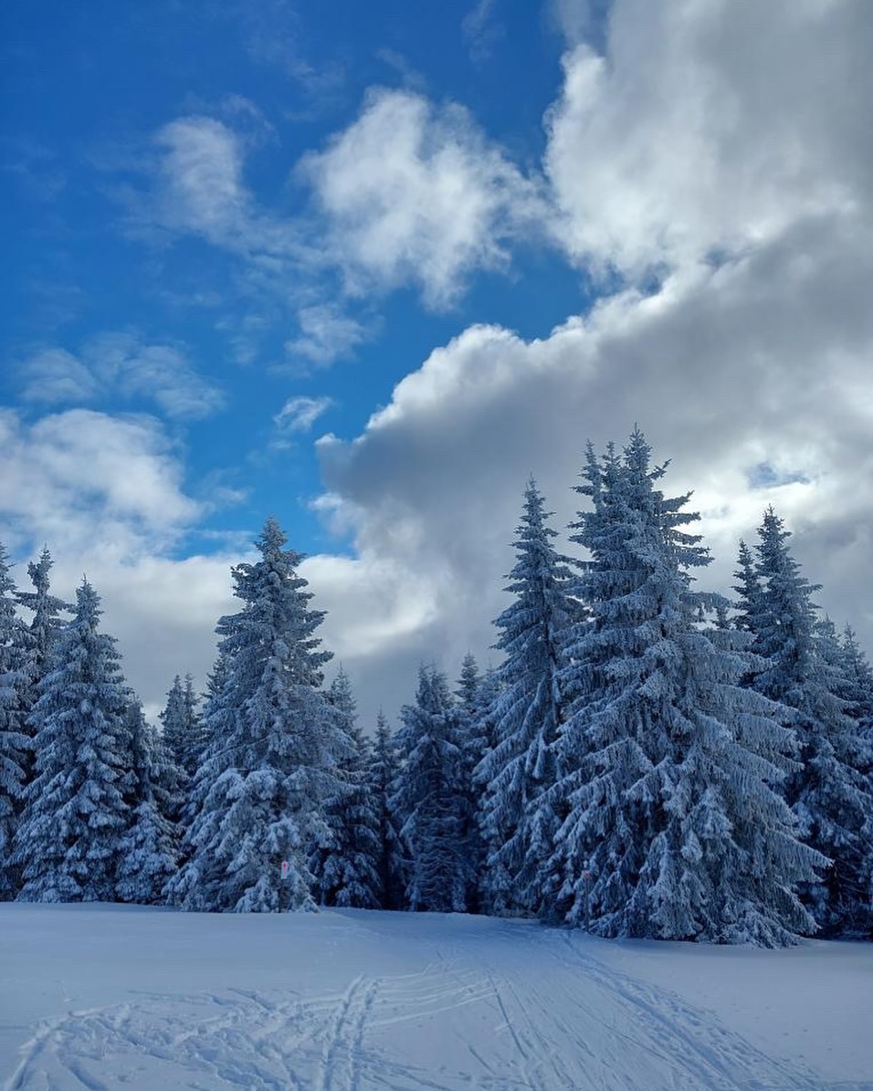 Notschrei in Germany - a snowy landscape with trees and a blue sky.