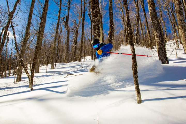 Okemo Mountain Resort in USA - a skier skiing down a slope in the woods.