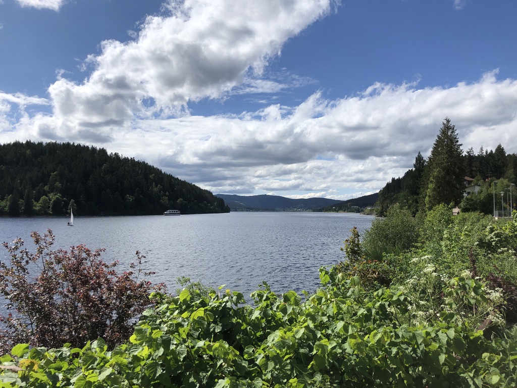 Rothaus in Germany - a lake surrounded by trees and bushes.