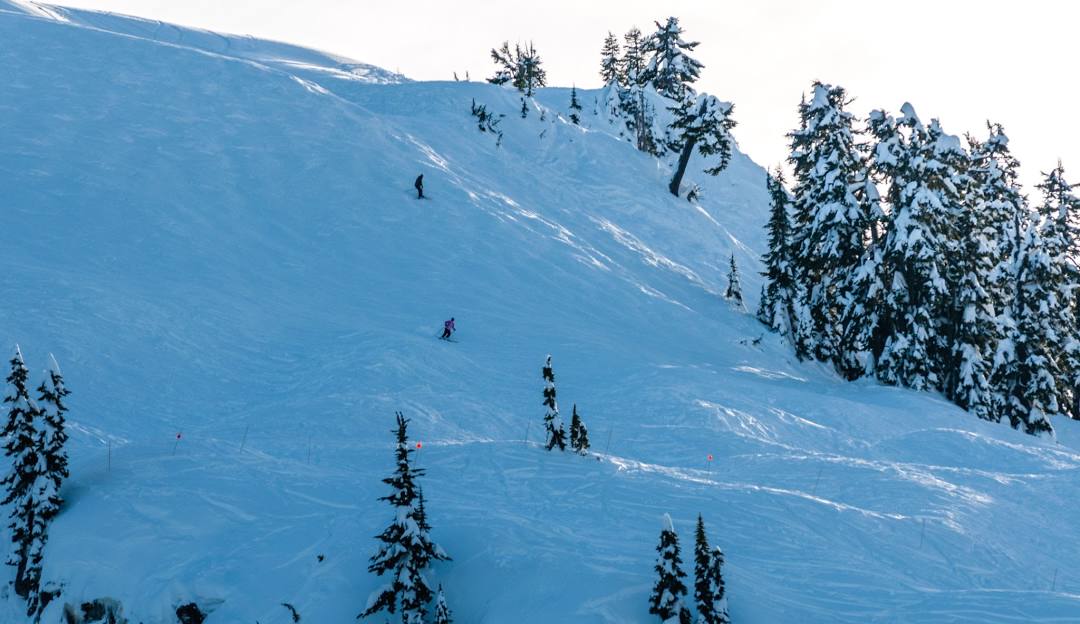 Mt Baker in USA - a person skiing down the side of a mountain.