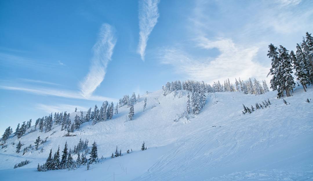 Mt Baker in USA - a snow covered mountain with trees in the background.
