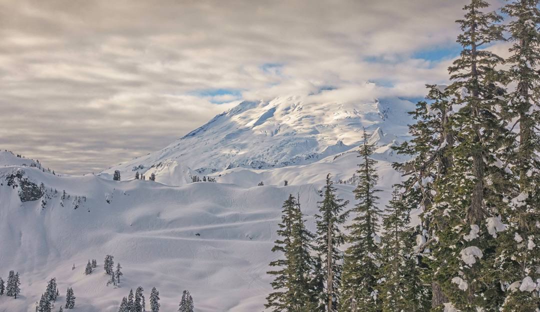 Mt Baker in USA - a snow covered mountain with trees in the fore.