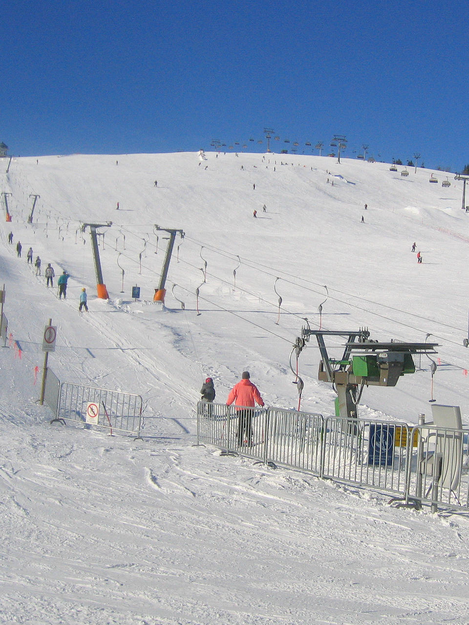 Zuflucht in Germany - a group of people skiing down a snowy hill.