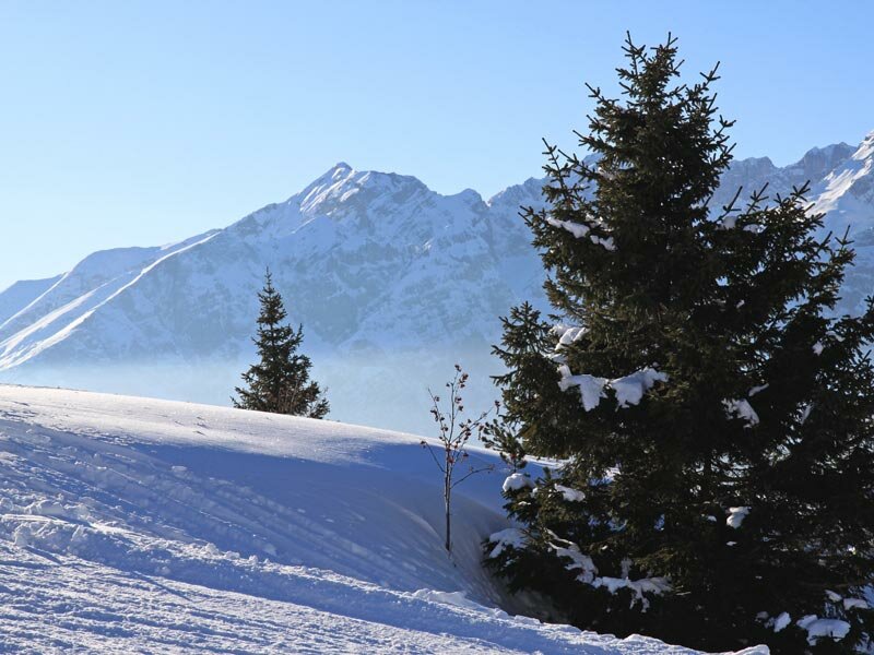 Paganella – Andalo in Italy - snow covered pine trees in the mountains.