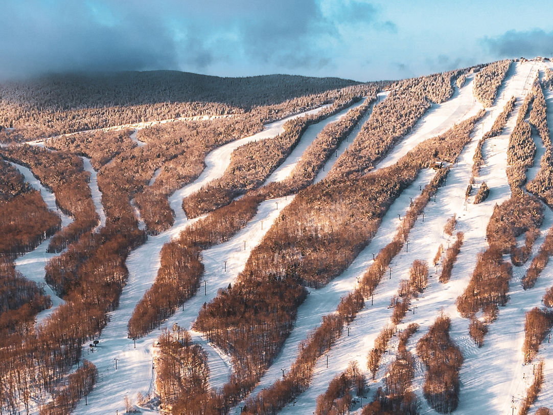 Mount Snow in USA - a ski slope covered in snow and trees.