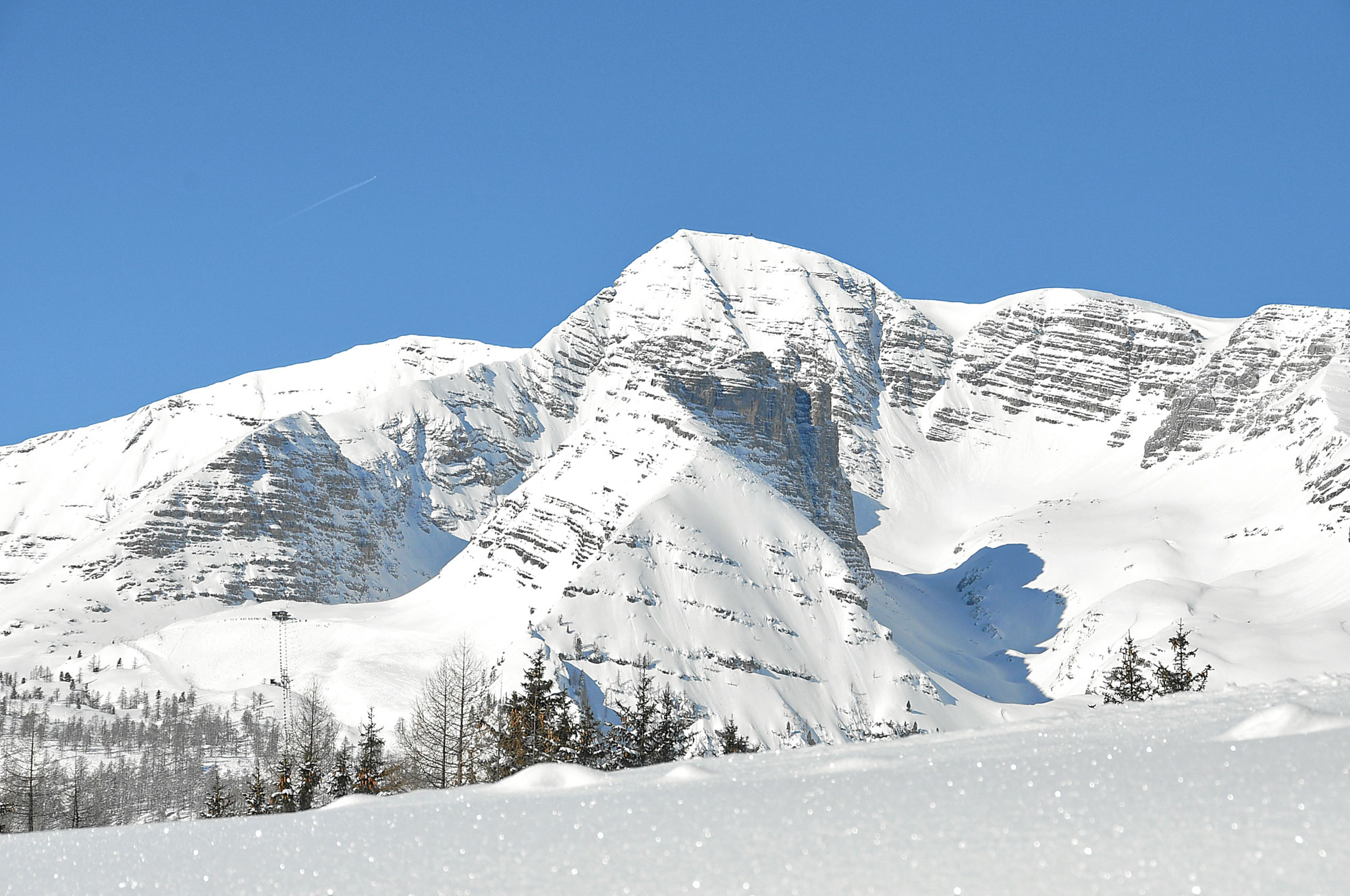 Error generating description.