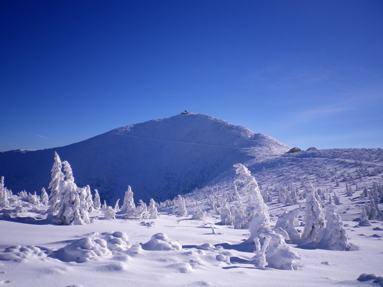 Borowice in Poland - a clear blue sky.
