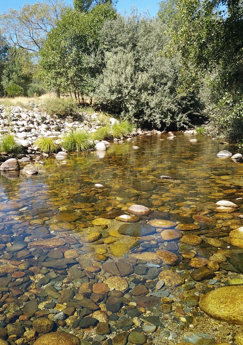 Ski parque in Portugal - a river with rocks and trees in the background.