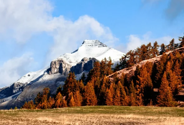 Valberg | Beuil les Launes in France - a mountain with trees and clouds in the background.