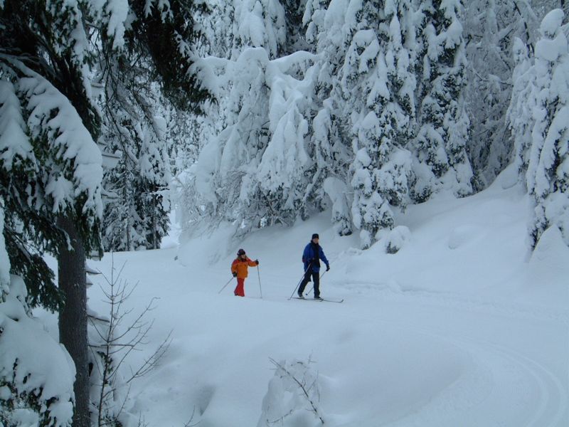 Neuleutasch in Austria - a person skiing down a snowy slope.