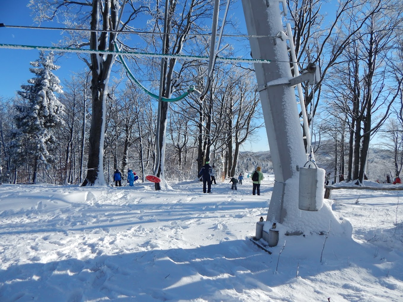Petehovac in Croatia - a group of people walking through the snow covered forest.