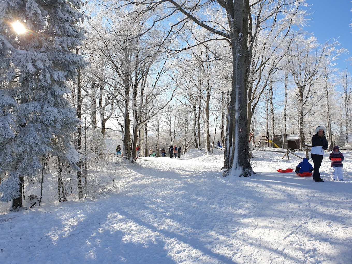 Petehovac in Croatia - a group of people walking through the snow covered forest.