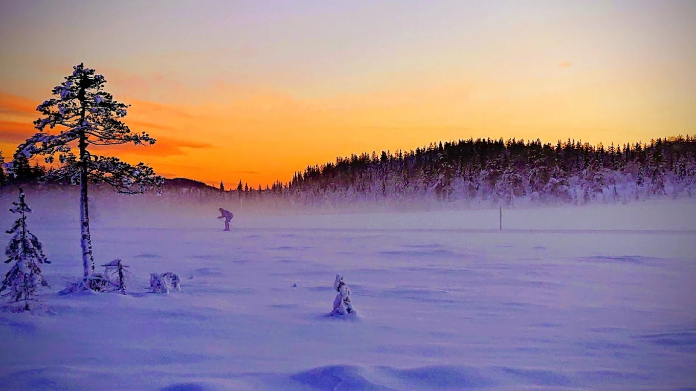 Långberget in Sweden - a snow covered field with trees in the background.