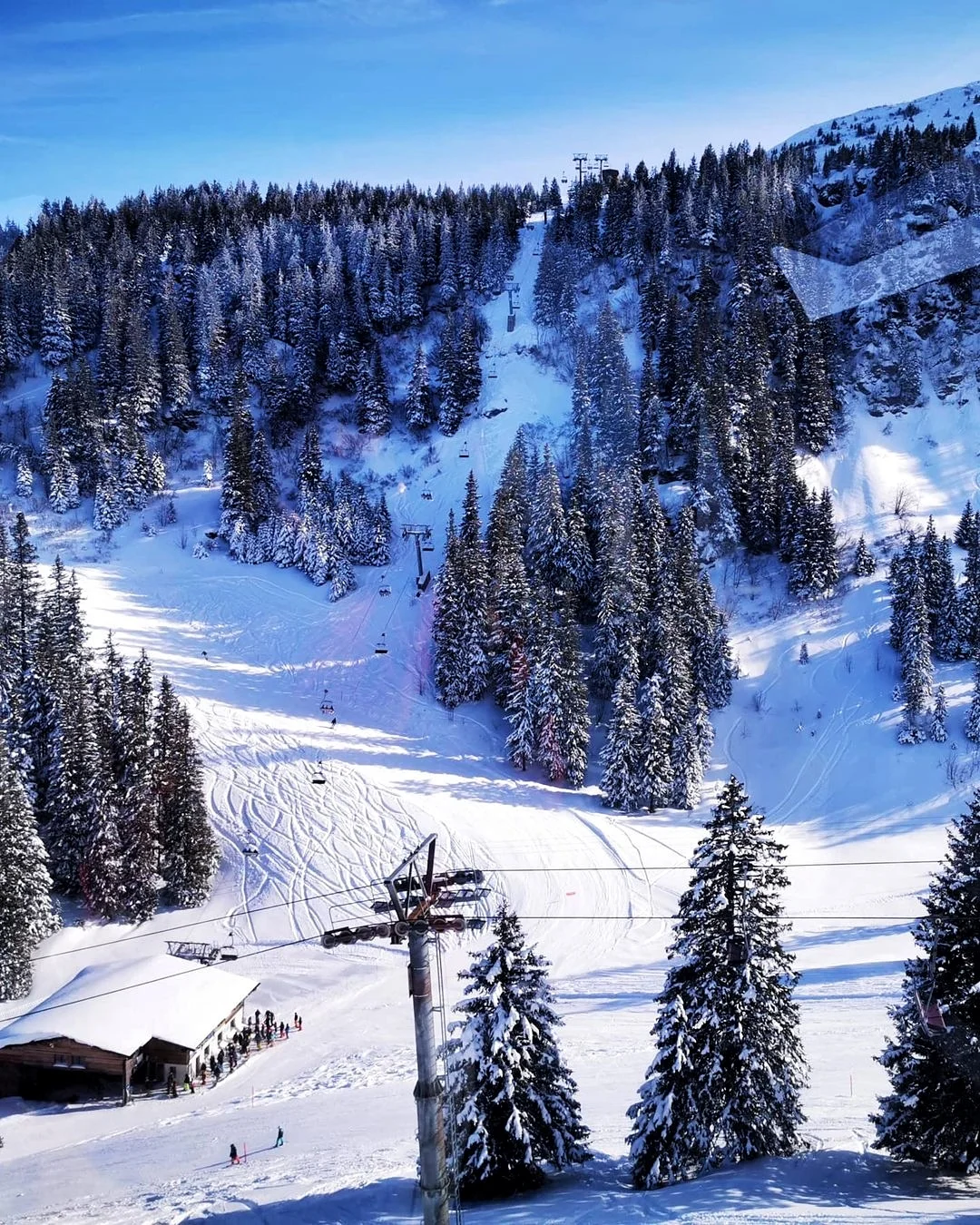 Flumserberg in Switzerland - a view of a ski area with trees and snow.