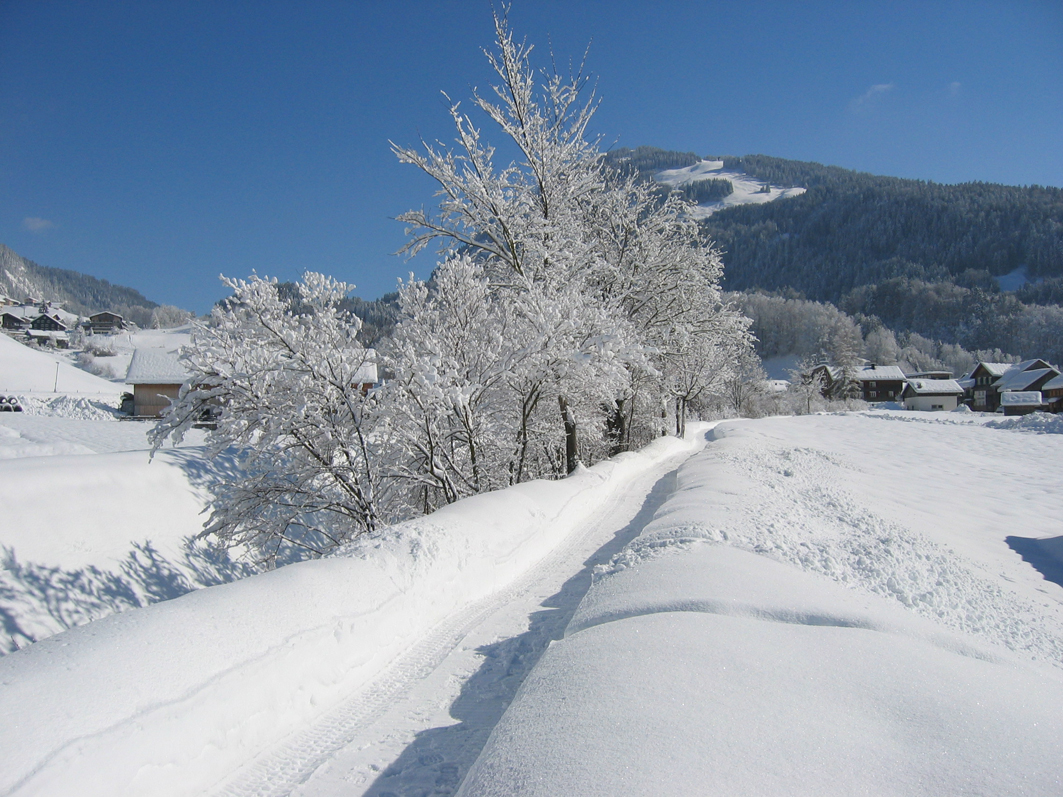Hütten – Bizau in Austria - a clear blue sky.
