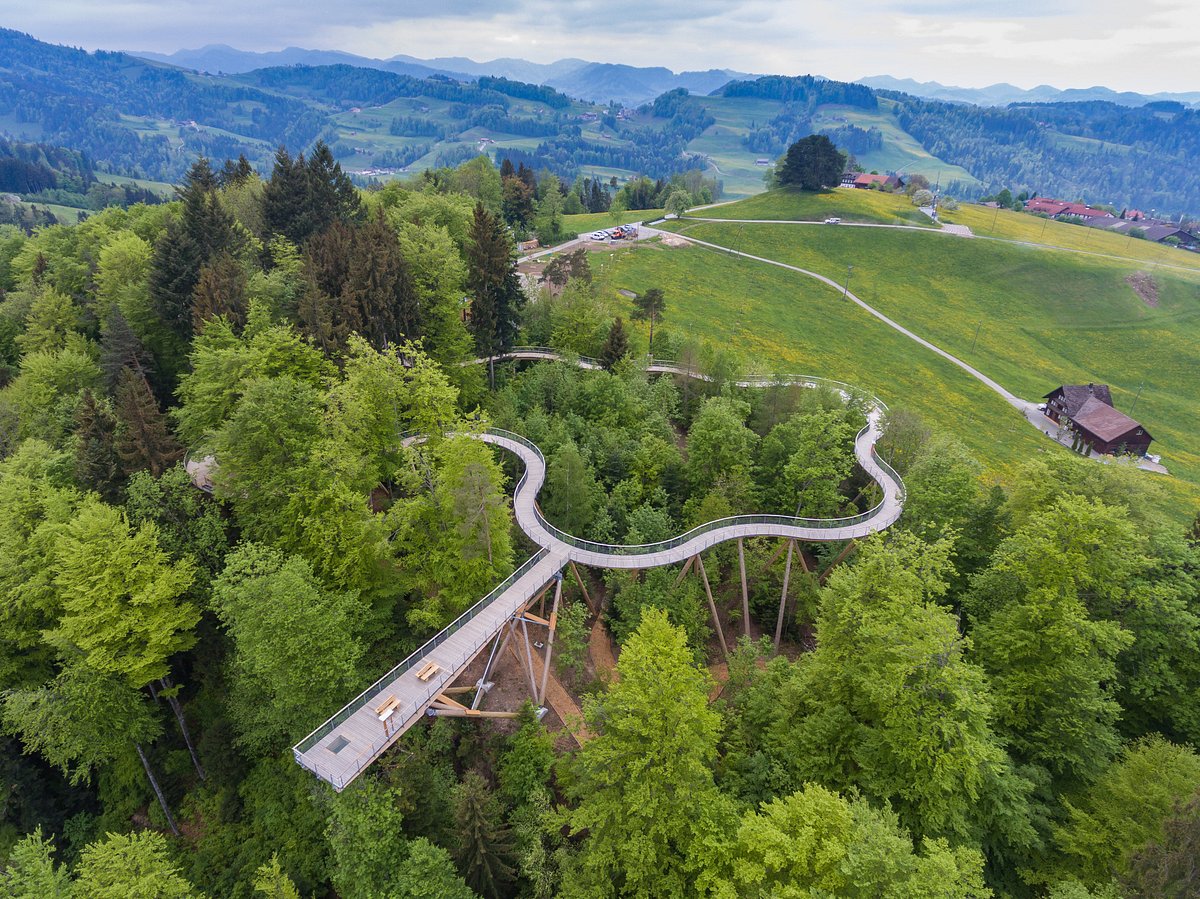 Oberhelfenschwil in Switzerland - an aerial view of the road leading to the top of the mountain.