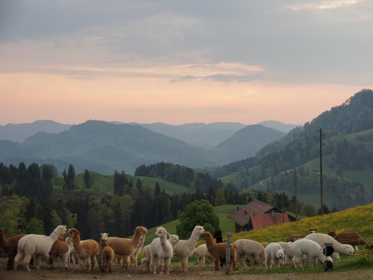 Oberhelfenschwil in Switzerland - mountains in the background.