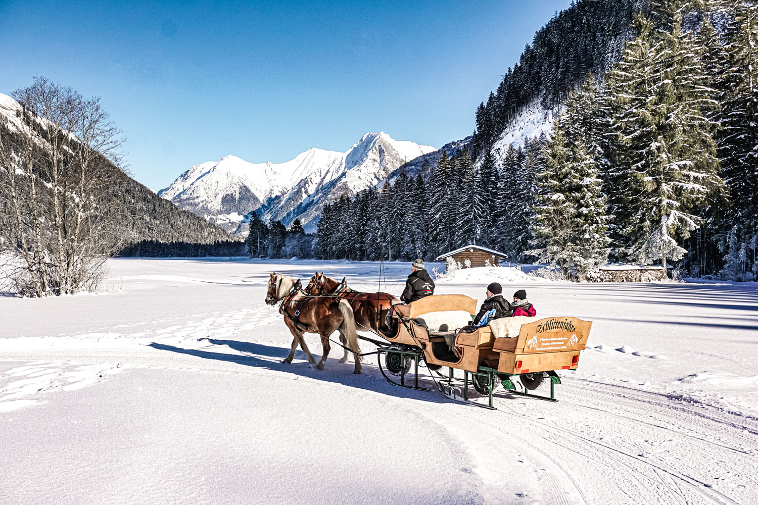 Jöchelspitze – Bach in Austria - two horses pulling a sler in the snow.