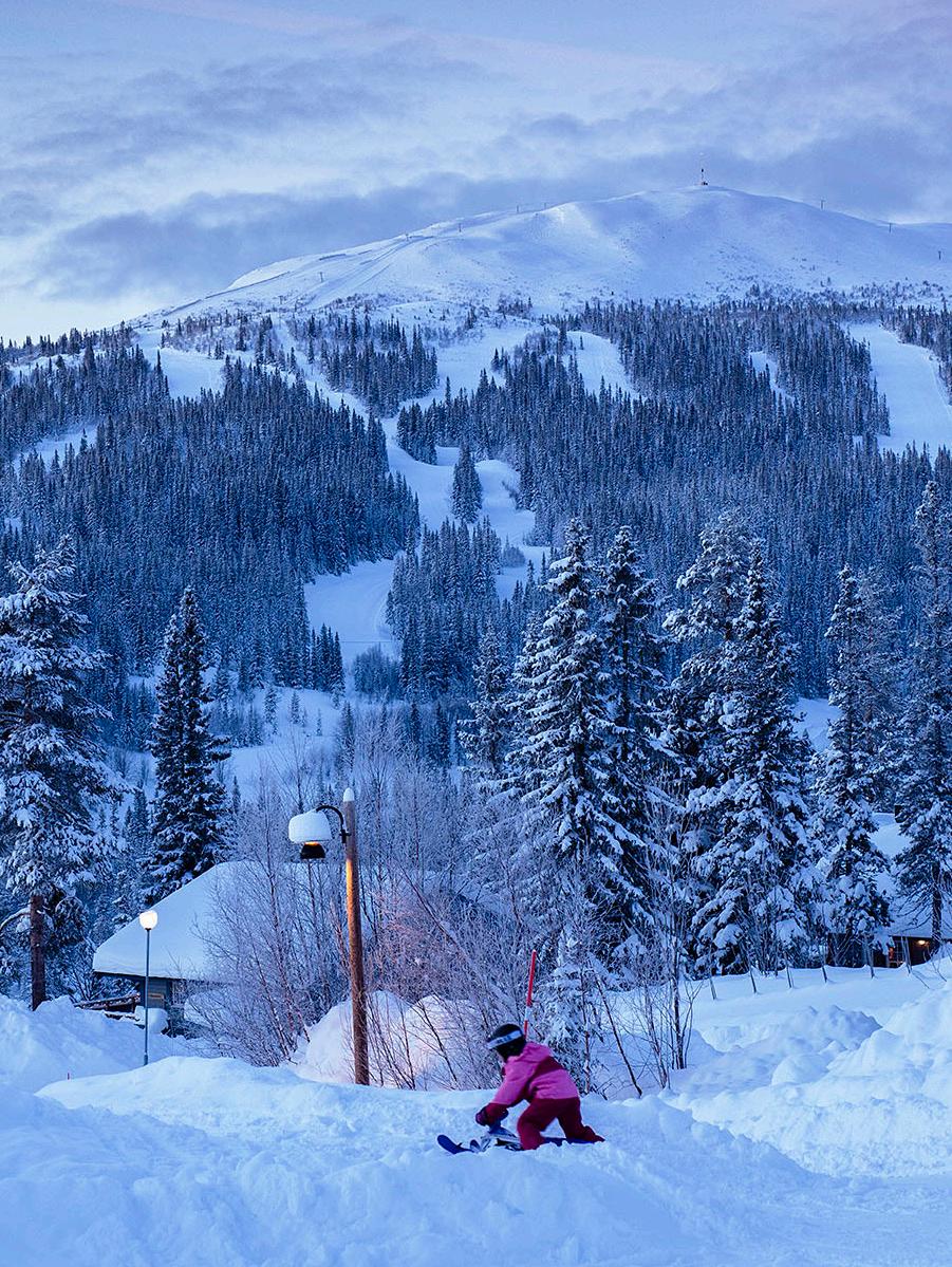 Bryngfjordsbacken in Sweden - a person on a snowboard in the snow.