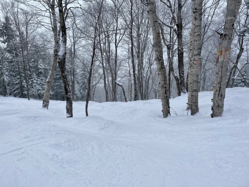 Smugglers' Notch Resort in USA - a snow covered forest with trees in the background.